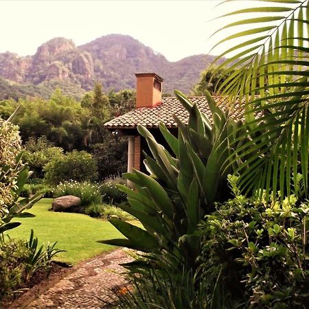 Arete (Adults Only) Hotel Tepoztlan Ngoại thất bức ảnh