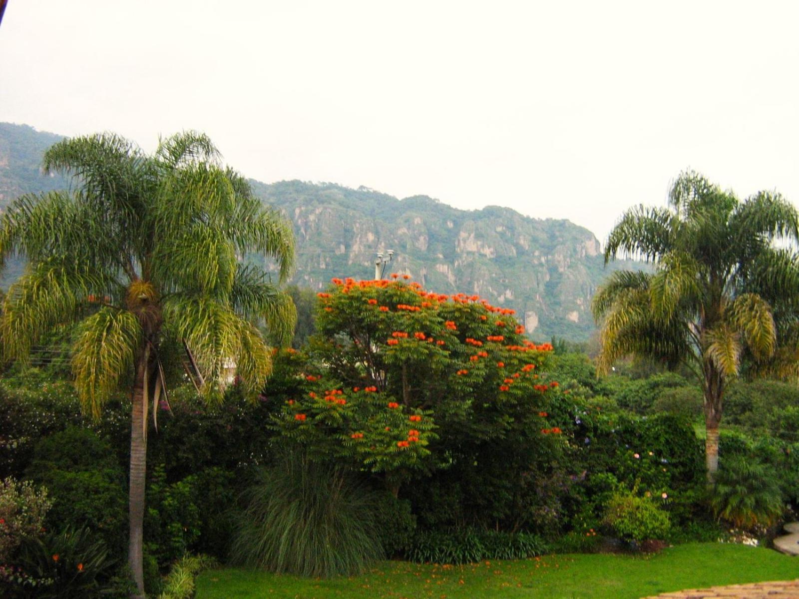 Arete (Adults Only) Hotel Tepoztlan Ngoại thất bức ảnh