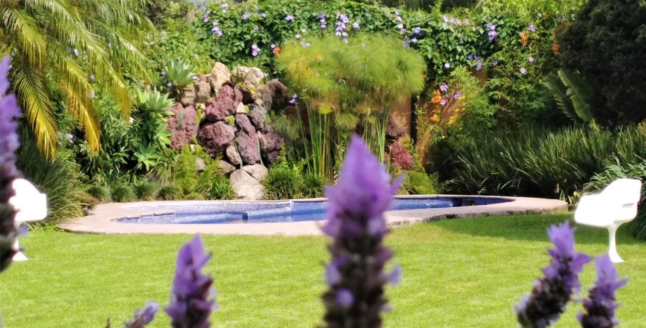 Arete (Adults Only) Hotel Tepoztlan Ngoại thất bức ảnh